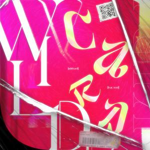 欧美videos另类极品
