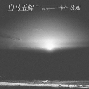 欧美videos另类极品
